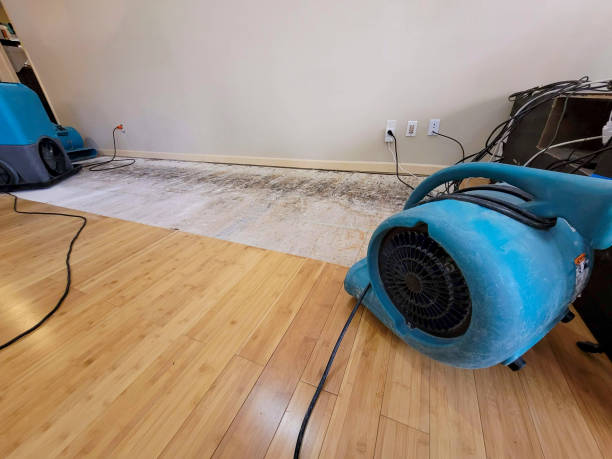 Professional Flood Damage Cleanup technician working in Richmond, ME